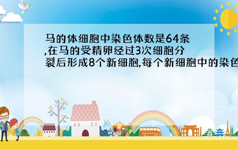 马的体细胞中染色体数是64条,在马的受精卵经过3次细胞分裂后形成8个新细胞,每个新细胞中的染色体数目为