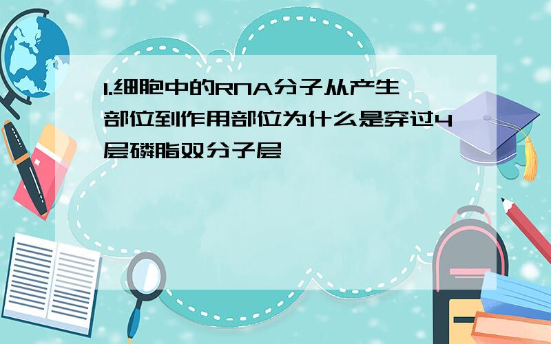 1.细胞中的RNA分子从产生部位到作用部位为什么是穿过4层磷脂双分子层