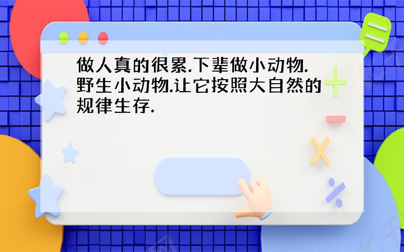 做人真的很累.下辈做小动物.野生小动物.让它按照大自然的规律生存.