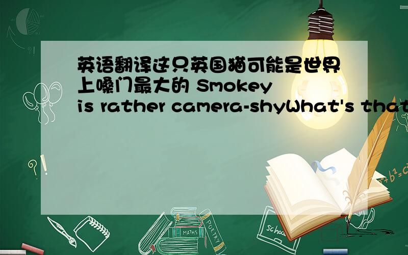 英语翻译这只英国猫可能是世界上嗓门最大的 Smokey is rather camera-shyWhat's that