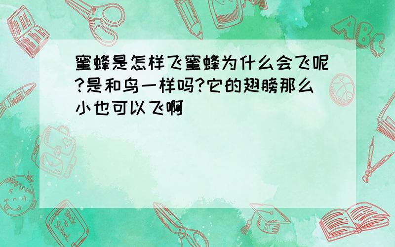 蜜蜂是怎样飞蜜蜂为什么会飞呢?是和鸟一样吗?它的翅膀那么小也可以飞啊