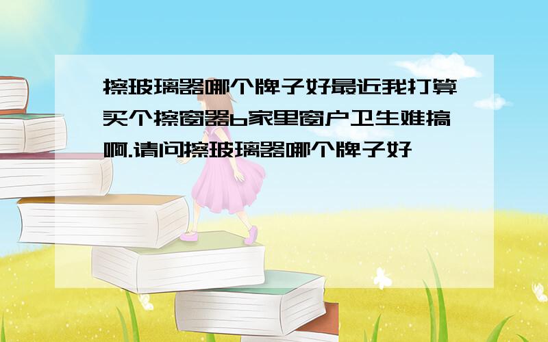 擦玻璃器哪个牌子好最近我打算买个擦窗器b家里窗户卫生难搞啊.请问擦玻璃器哪个牌子好 ,