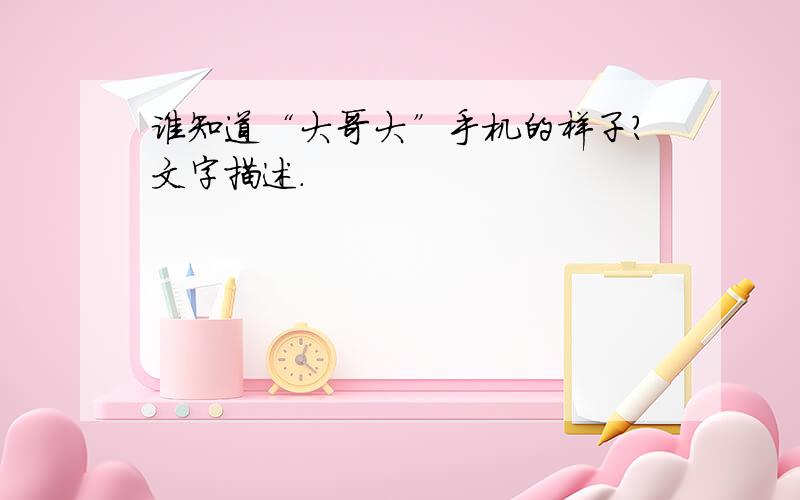 谁知道“大哥大”手机的样子?文字描述.