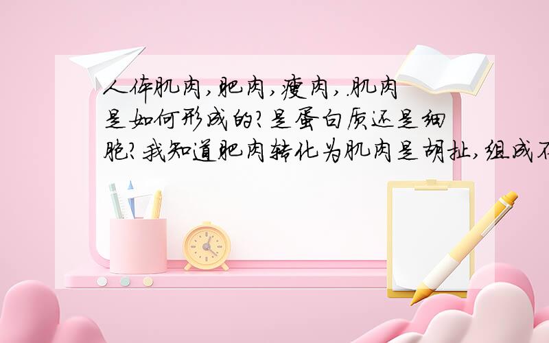 人体肌肉,肥肉,瘦肉,.肌肉是如何形成的?是蛋白质还是细胞?我知道肥肉转化为肌肉是胡扯,组成不同,那是不是瘦肉转化为肌肉