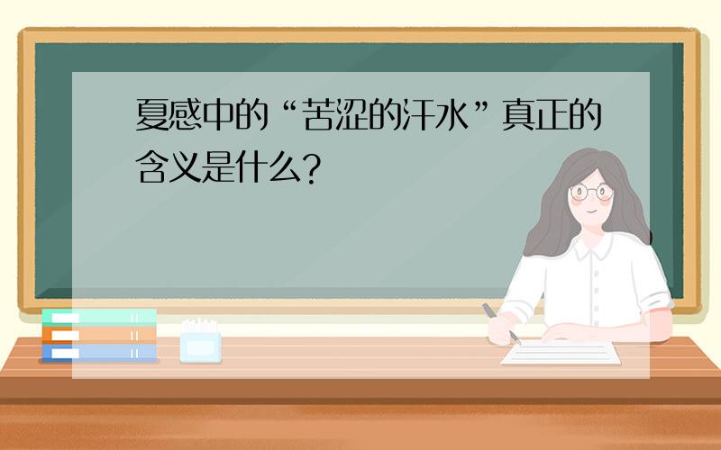 夏感中的“苦涩的汗水”真正的含义是什么?