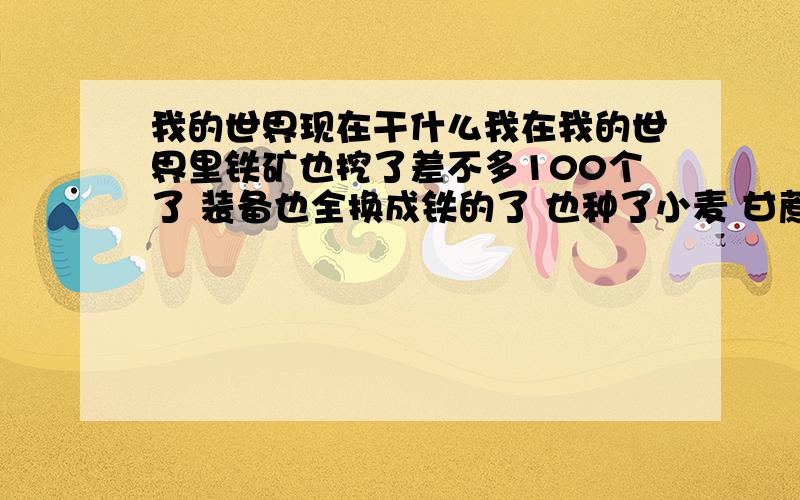 我的世界现在干什么我在我的世界里铁矿也挖了差不多100个了 装备也全换成铁的了 也种了小麦 甘蔗 南瓜 还养了牛 现在该