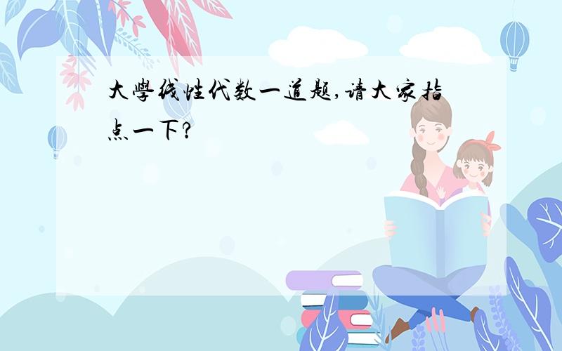 大学线性代数一道题,请大家指点一下?