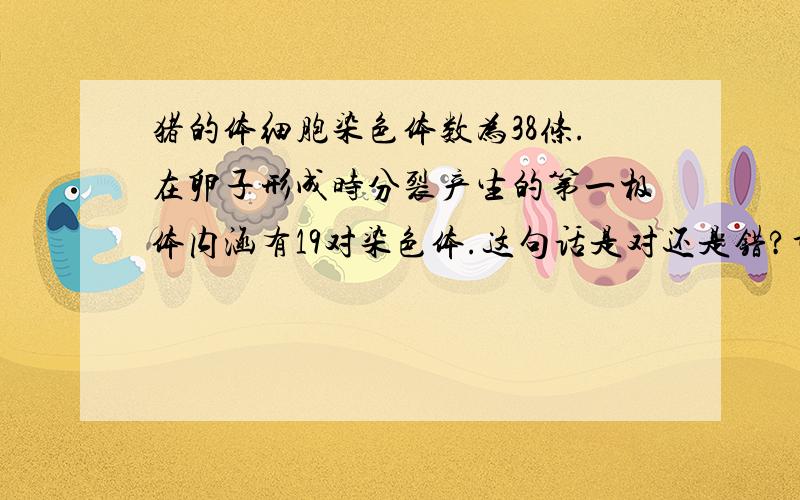 猪的体细胞染色体数为38条.在卵子形成时分裂产生的第一极体内涵有19对染色体.这句话是对还是错?详细说明