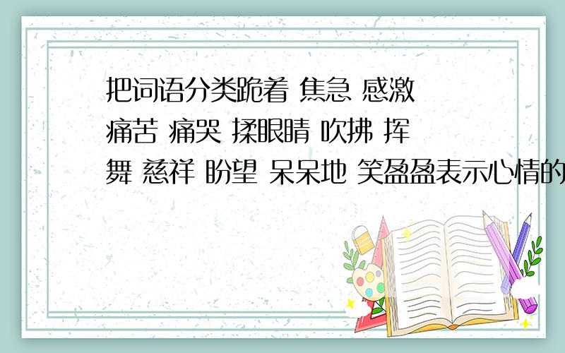 把词语分类跪着 焦急 感激 痛苦 痛哭 揉眼睛 吹拂 挥舞 慈祥 盼望 呆呆地 笑盈盈表示心情的表示神情的表示动作的