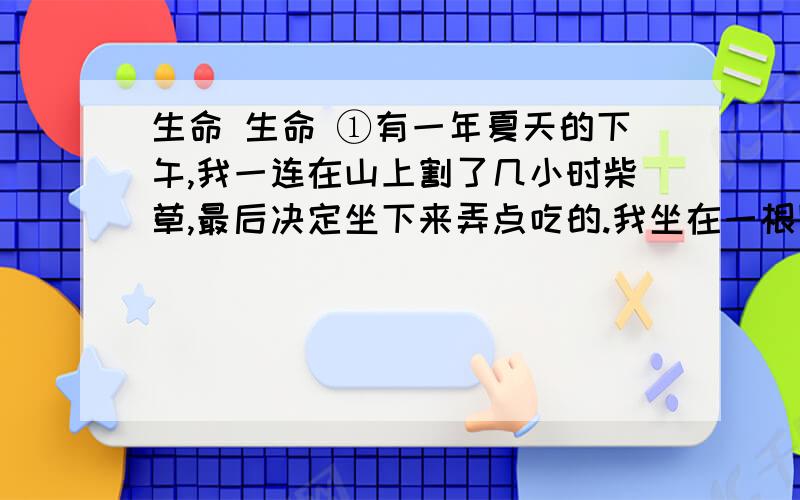 生命 生命 ①有一年夏天的下午,我一连在山上割了几小时柴草,最后决定坐下来弄点吃的.我坐在一根圆木上,拿出一块三明治,眺