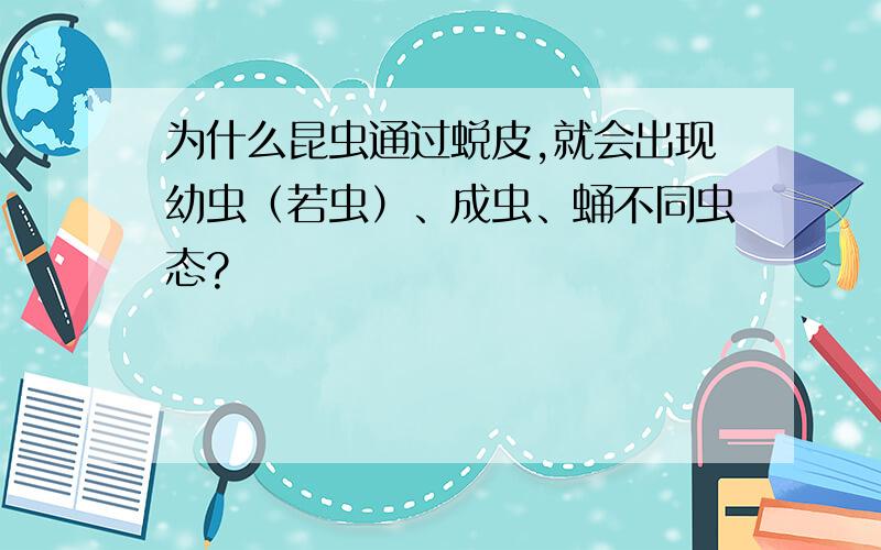 为什么昆虫通过蜕皮,就会出现幼虫（若虫）、成虫、蛹不同虫态?