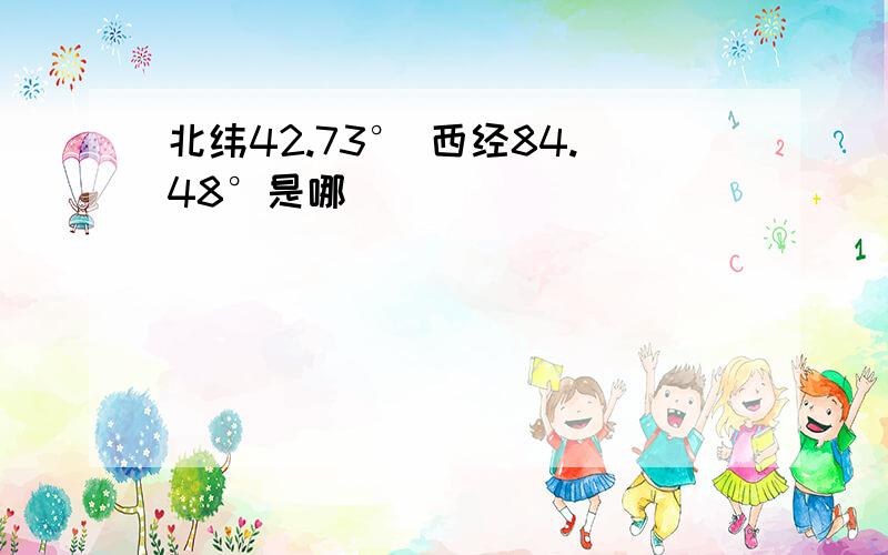 北纬42.73° 西经84.48°是哪