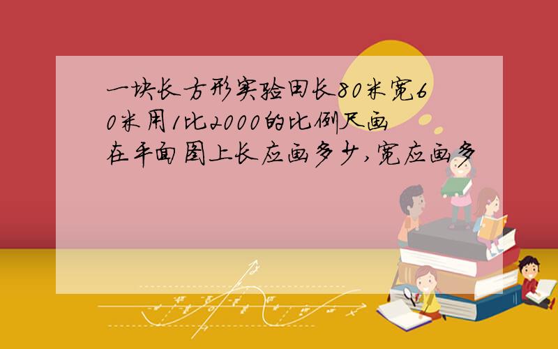 一块长方形实验田长80米宽60米用1比2000的比例尺画在平面图上长应画多少,宽应画多