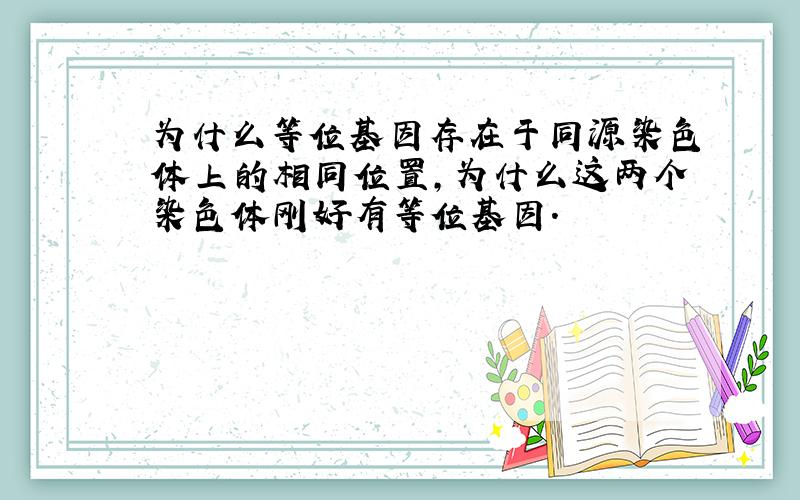 为什么等位基因存在于同源染色体上的相同位置,为什么这两个染色体刚好有等位基因.