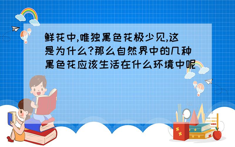 鲜花中,唯独黑色花极少见,这是为什么?那么自然界中的几种黑色花应该生活在什么环境中呢