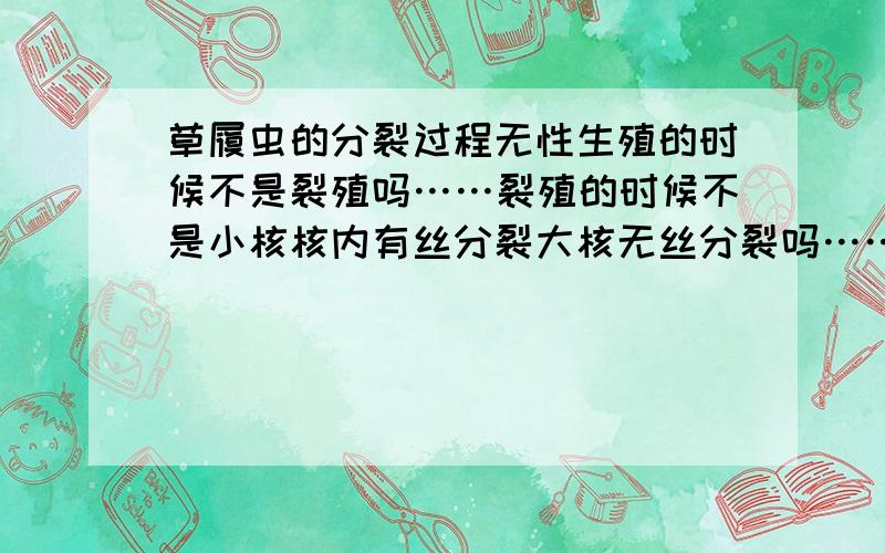 草履虫的分裂过程无性生殖的时候不是裂殖吗……裂殖的时候不是小核核内有丝分裂大核无丝分裂吗……然后呢……小核的核膜最后解体