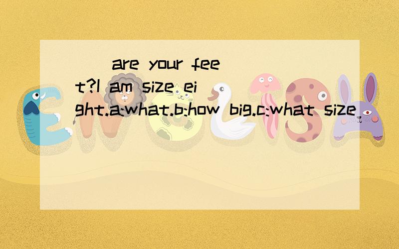 ()are your feet?I am size eight.a:what.b:how big.c:what size