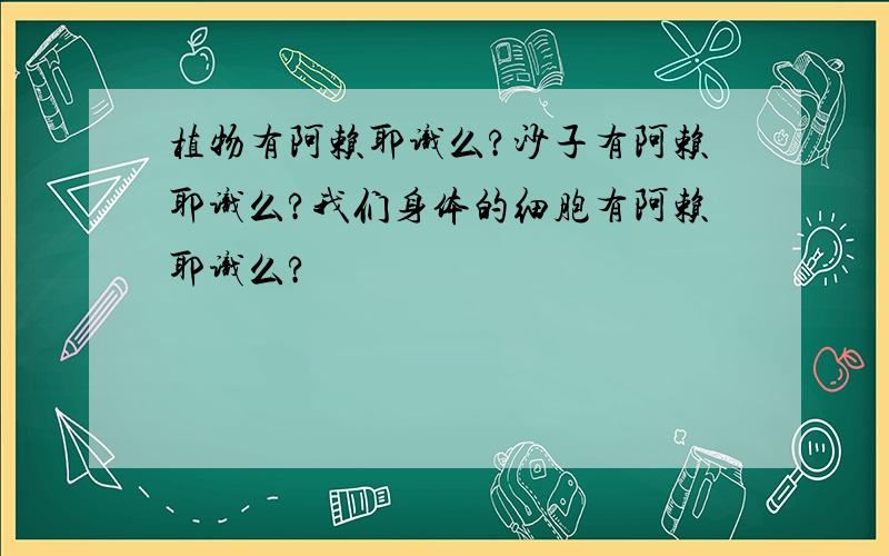 植物有阿赖耶识么?沙子有阿赖耶识么?我们身体的细胞有阿赖耶识么?