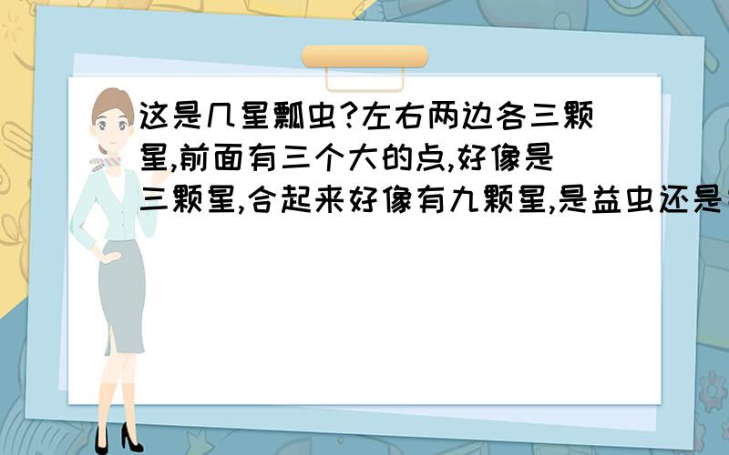 这是几星瓢虫?左右两边各三颗星,前面有三个大的点,好像是三颗星,合起来好像有九颗星,是益虫还是害虫?翅膀中间有点发白,翅