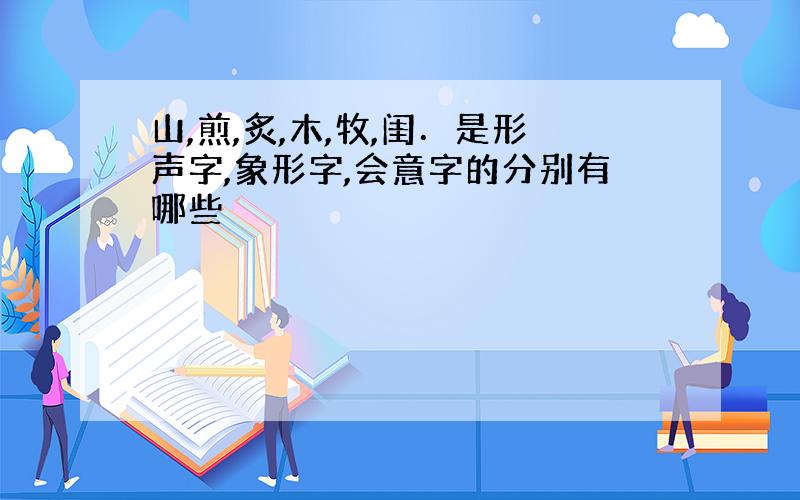 山,煎,炙,木,牧,闺．是形声字,象形字,会意字的分别有哪些