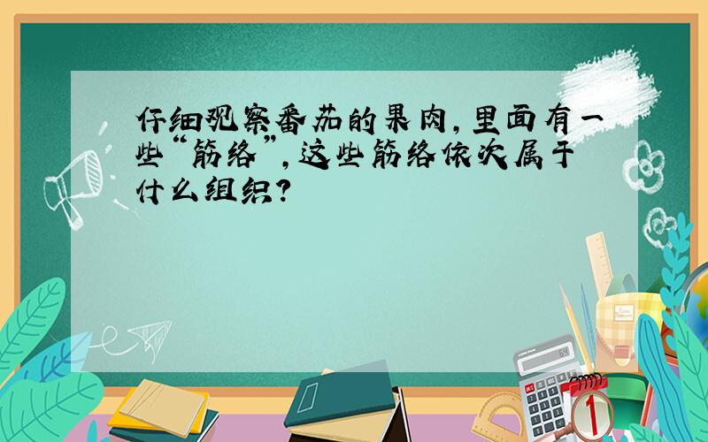 仔细观察番茄的果肉,里面有一些“筋络”,这些筋络依次属于什么组织?