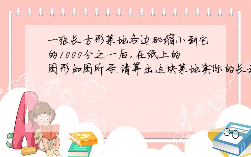 一张长方形菜地各边都缩小到它的1000分之一后,在纸上的图形如图所示.请算出这块菜地实际的长和宽各是多少米?实际的面积是