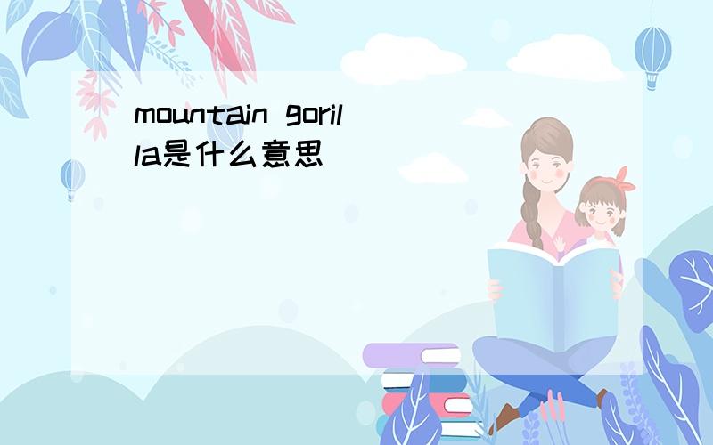 mountain gorilla是什么意思