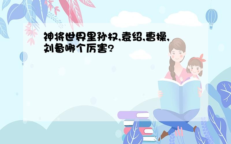 神将世界里孙权,袁绍,曹操,刘备哪个厉害?