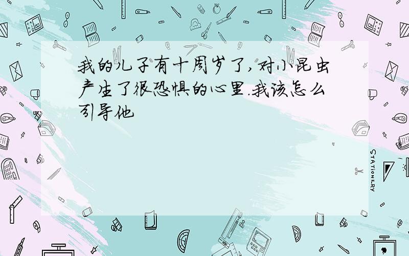 我的儿子有十周岁了,对小昆虫产生了很恐惧的心里.我该怎么引导他