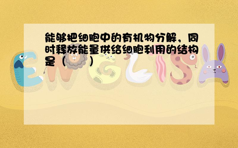 能够把细胞中的有机物分解，同时释放能量供给细胞利用的结构是（　　）