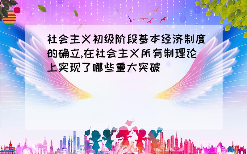 社会主义初级阶段基本经济制度的确立,在社会主义所有制理论上实现了哪些重大突破