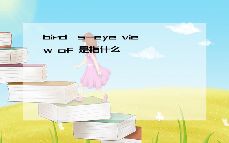 bird's-eye view of 是指什么