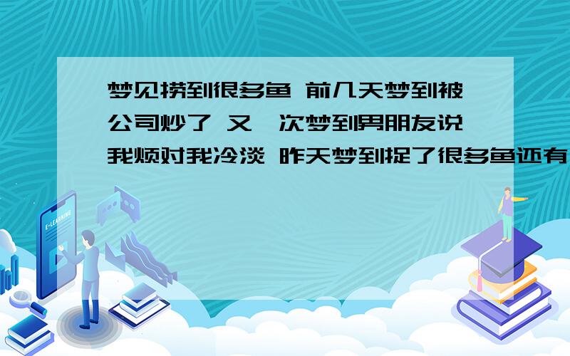 梦见捞到很多鱼 前几天梦到被公司炒了 又一次梦到男朋友说我烦对我冷淡 昨天梦到捉了很多鱼还有一条大的,谁能告诉我这预示着