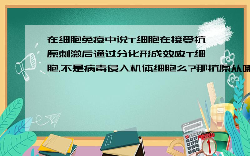 在细胞免疫中说T细胞在接受抗原刺激后通过分化形成效应T细胞.不是病毒侵入机体细胞么?那抗原从哪里来?