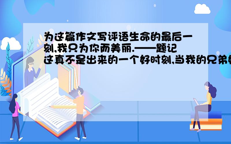 为这篇作文写评语生命的最后一刻,我只为你而美丽.——题记这真不是出来的一个好时刻,当我的兄弟姐妹们还呆在舒适的泥土里呼呼