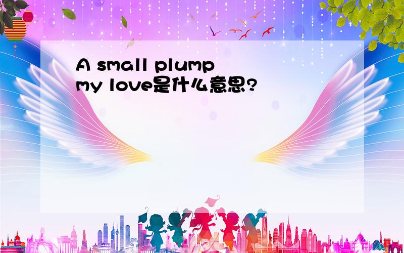 A small plump my love是什么意思?