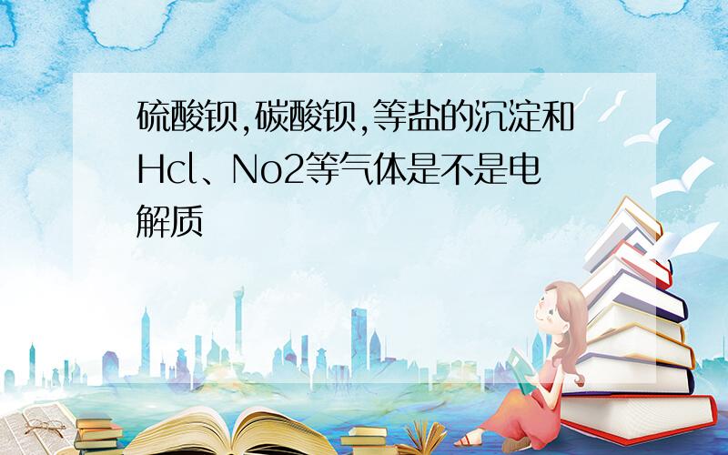 硫酸钡,碳酸钡,等盐的沉淀和Hcl、No2等气体是不是电解质