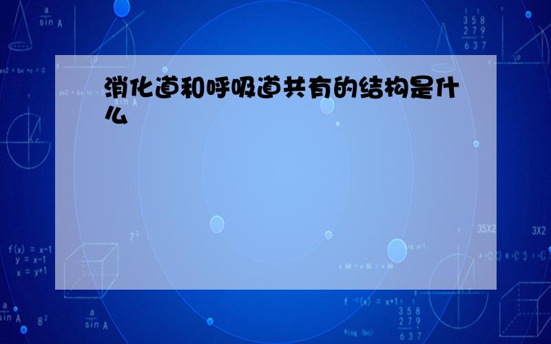 消化道和呼吸道共有的结构是什么