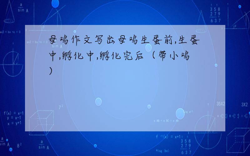 母鸡作文写出母鸡生蛋前,生蛋中,孵化中,孵化完后（带小鸡）