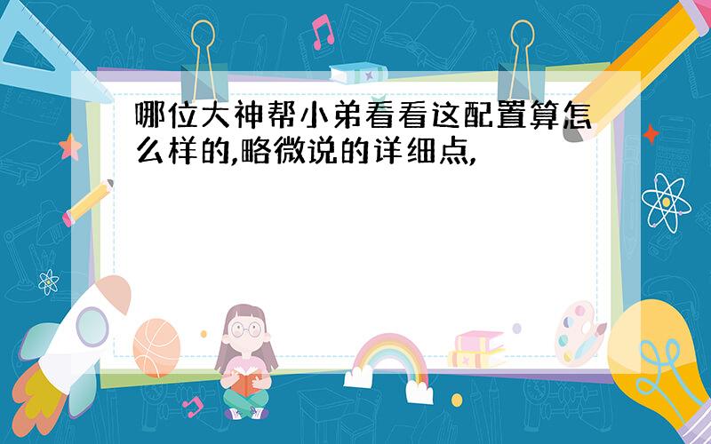 哪位大神帮小弟看看这配置算怎么样的,略微说的详细点,