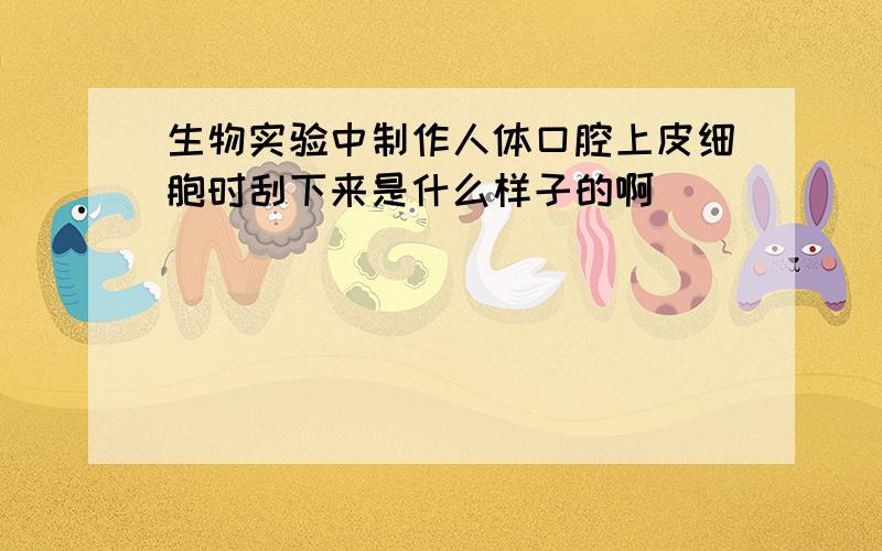 生物实验中制作人体口腔上皮细胞时刮下来是什么样子的啊