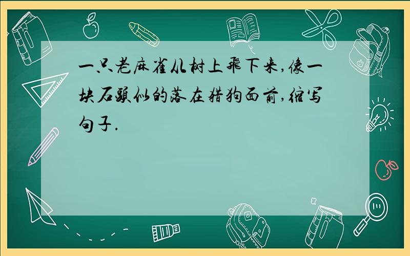 一只老麻雀从树上飞下来,像一块石头似的落在猎狗面前,缩写句子.