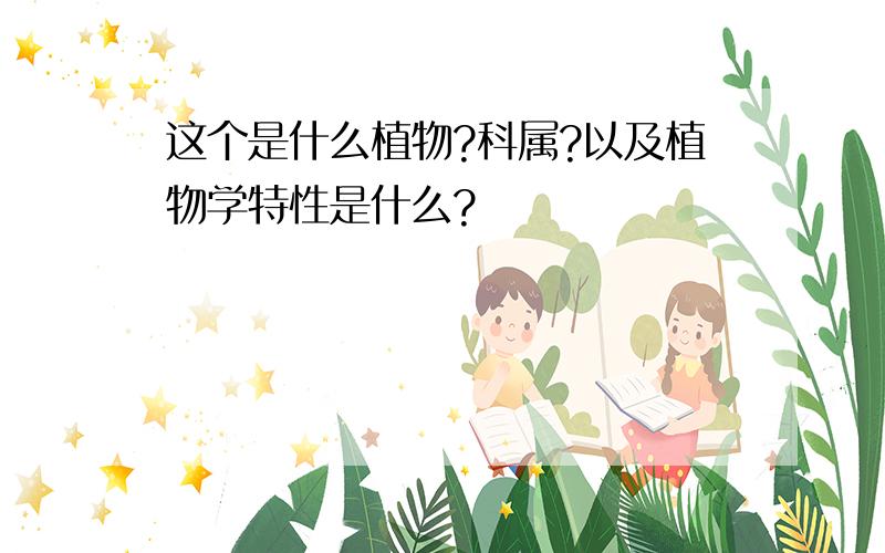 这个是什么植物?科属?以及植物学特性是什么?