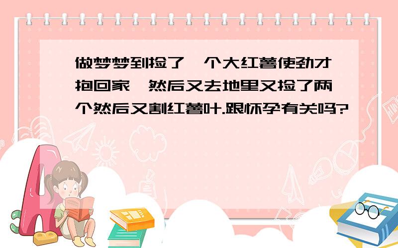 做梦梦到捡了一个大红薯使劲才抱回家,然后又去地里又捡了两个然后又割红薯叶.跟怀孕有关吗?