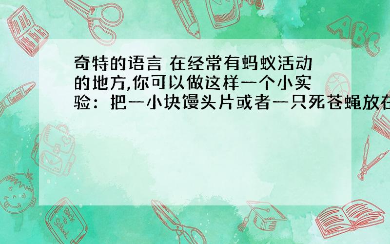 奇特的语言 在经常有蚂蚁活动的地方,你可以做这样一个小实验：把一小块馒头片或者一只死苍蝇放在有蚂蚁来