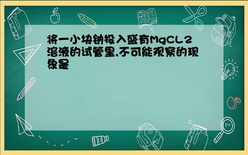 将一小块钠投入盛有MgCL2溶液的试管里,不可能观察的现象是