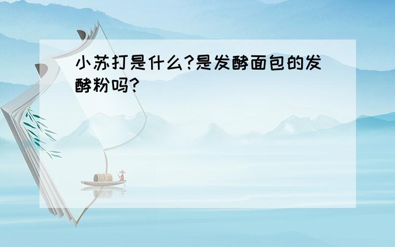 小苏打是什么?是发酵面包的发酵粉吗?