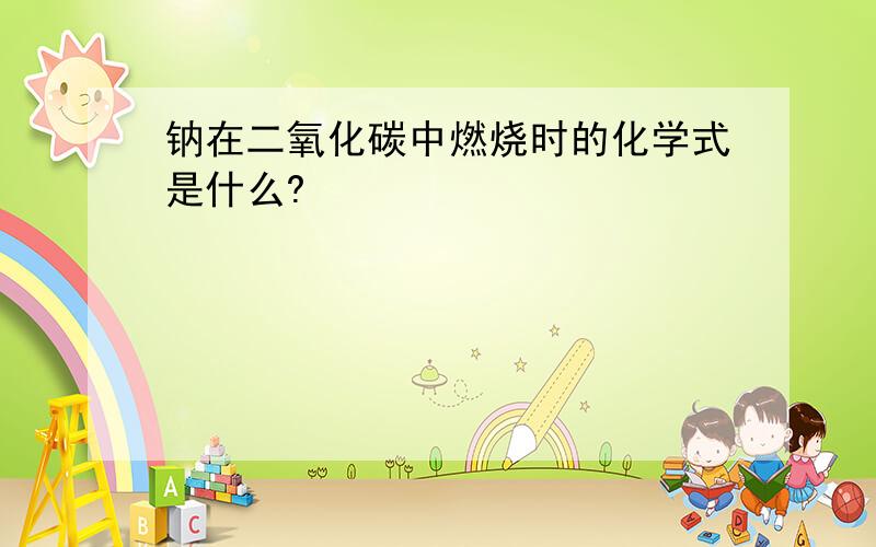 钠在二氧化碳中燃烧时的化学式是什么?