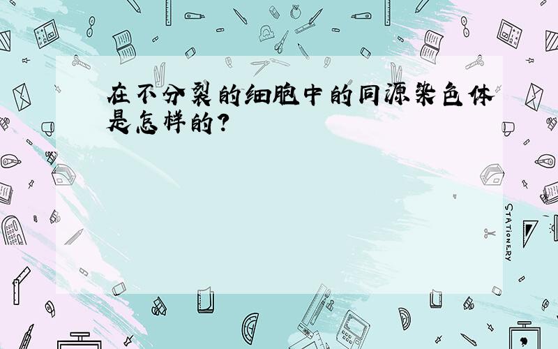 在不分裂的细胞中的同源染色体是怎样的?