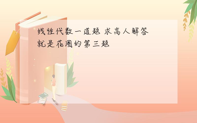 线性代数一道题 求高人解答 就是花圈的第三题